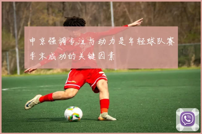 申京强调专注与动力是年轻球队赛季末成功的关键因素