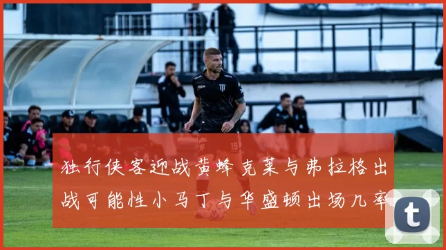 独行侠客迎战黄蜂克莱与弗拉格出战可能性小马丁与华盛顿出场几率高