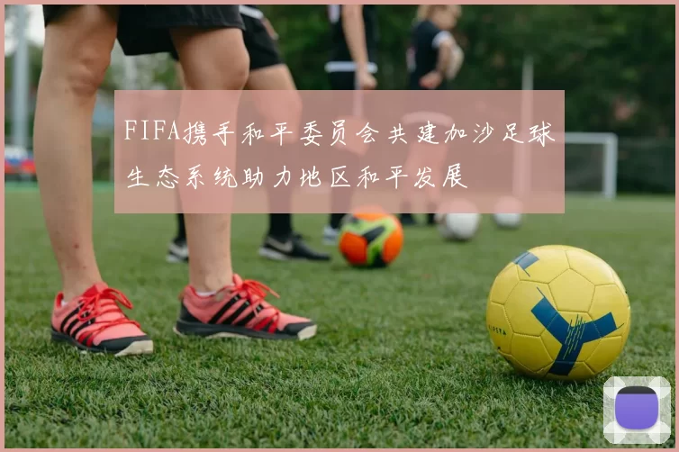FIFA携手和平委员会共建加沙足球生态系统助力地区和平发展